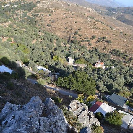 Garden Of Olive Trees Villa Asfendiles ภายนอก รูปภาพ