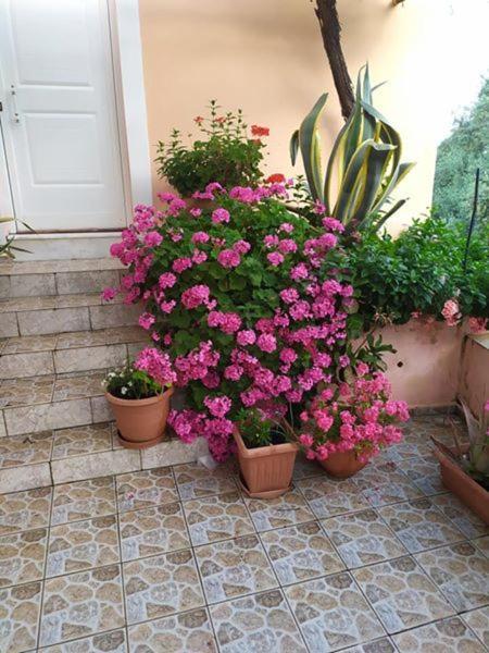 Garden Of Olive Trees Villa Asfendiles ภายนอก รูปภาพ