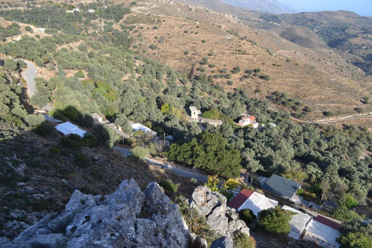 Garden Of Olive Trees Villa Asfendiles ภายนอก รูปภาพ